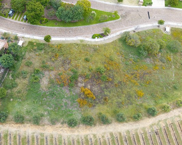 LOTE VIÑEDO SAN MIGUEL – San Miguel de Allende real estate