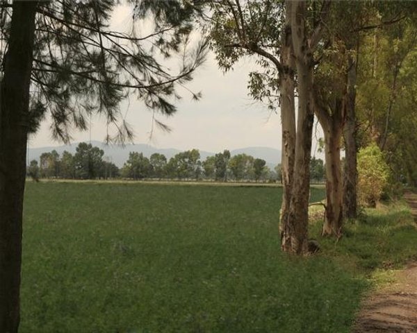 Beautiful Ag Ranch With Homes & Barns  – San Miguel de Allende real estate