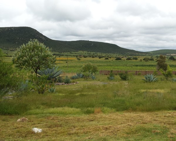 A True Ecologically Sustainable Home – San Miguel de Allende real estate