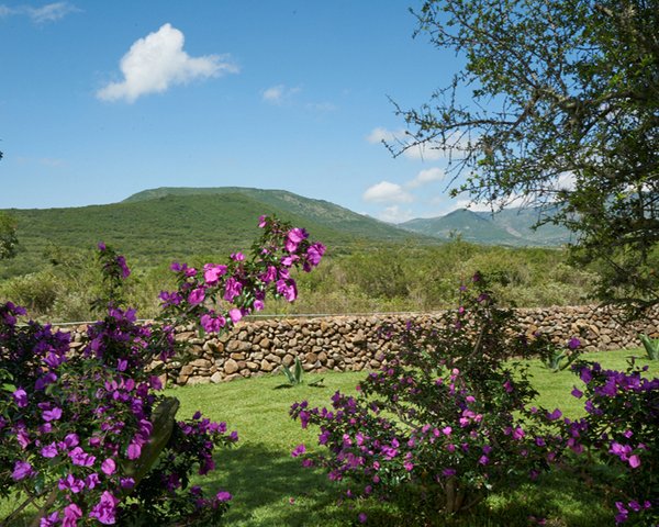 Rancho Jalpa – San Miguel de Allende real estate