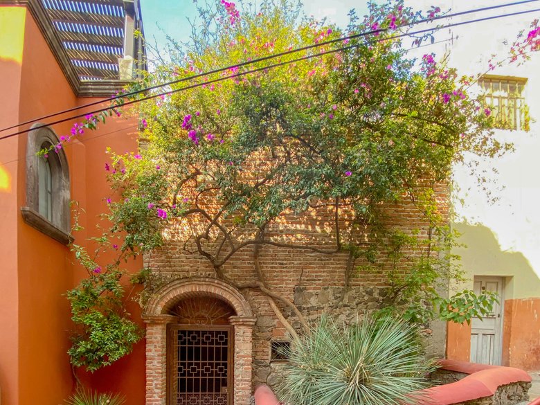 CASA LYNN - Available from October - Dec 2026 — 23 photos
