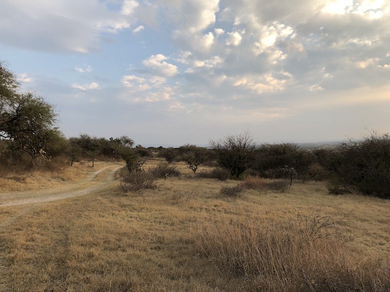 Rancho Nuevo, Atotonilco — 11 photos
