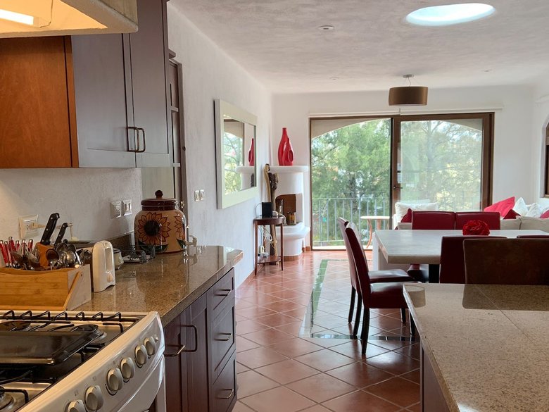 Alicia Penthouse Apartment for Rent in Puente Viejo Available April 2027 — 3 photos