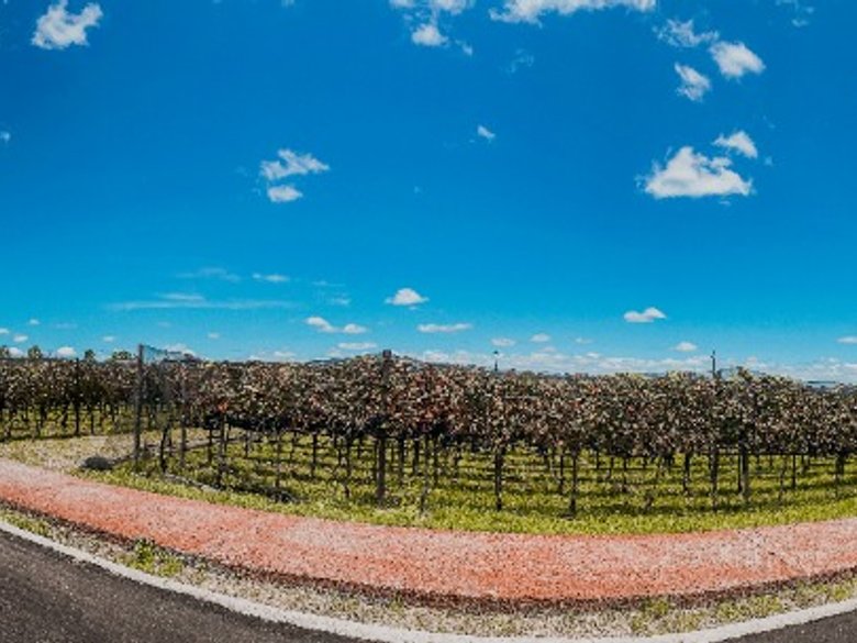 Land in Loma Bonita — 2 photos