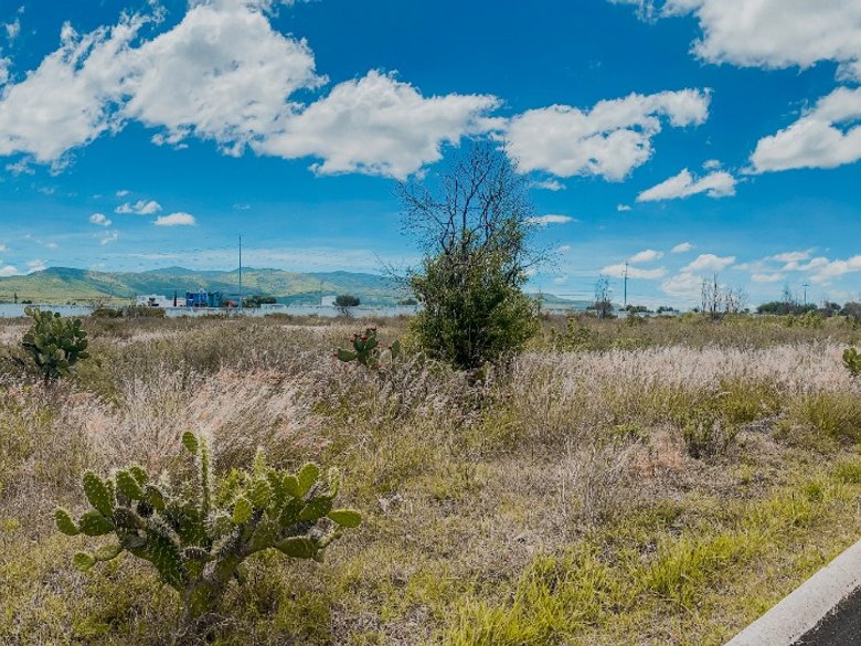 Land in Loma Bonita — 9 photos