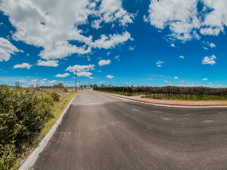 Land in Loma Bonita — 4 photos