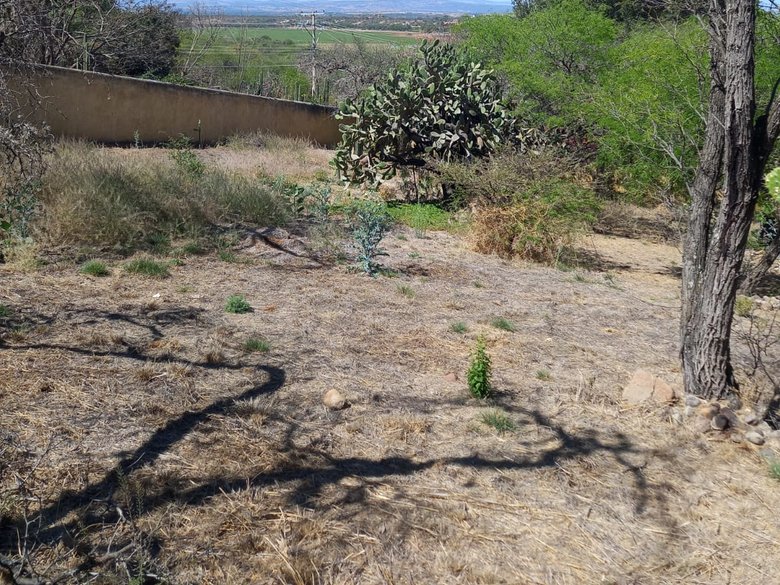 ¡Gran oportunidad de inversión! — 1 fotos
