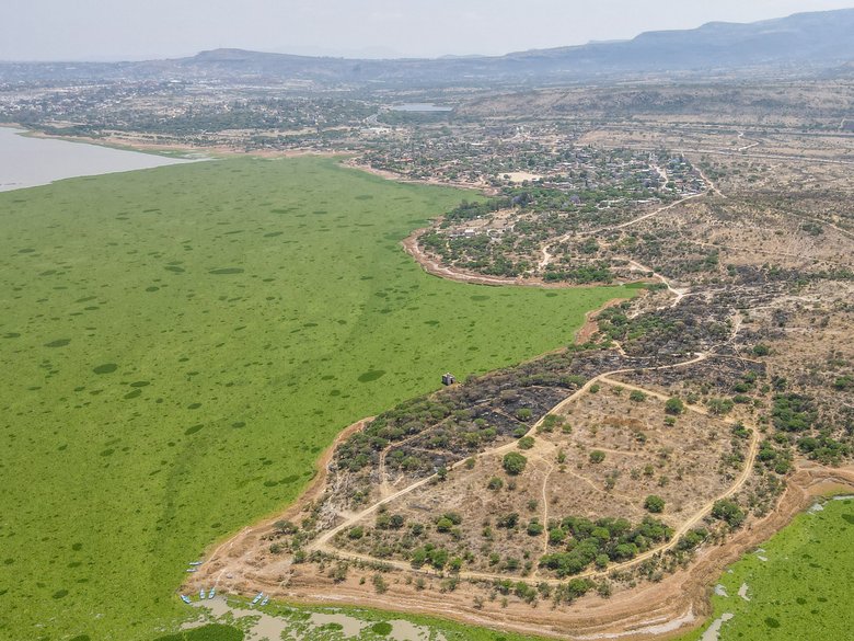 Rincón Dorado Presa Allende — 7 photos
