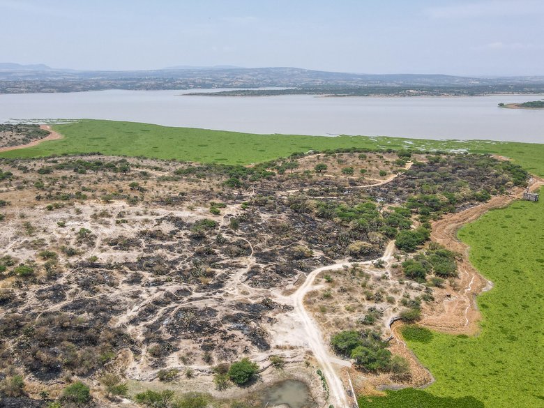 Rincón Dorado Presa Allende — 3 photos