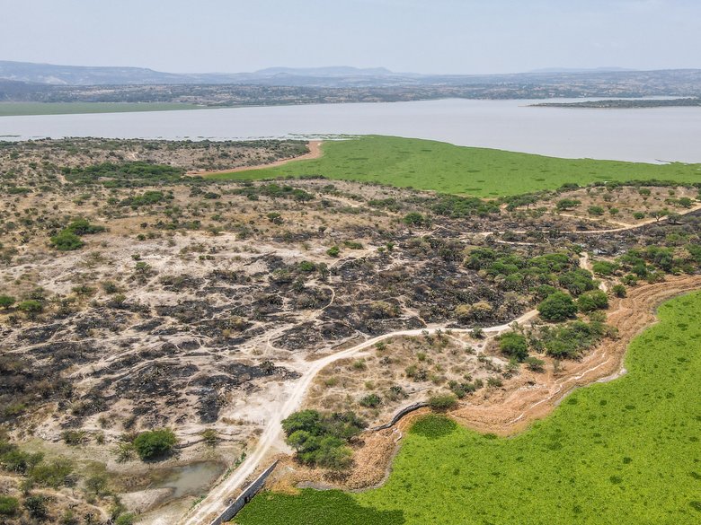 Rincón Dorado Presa Allende — 2 photos