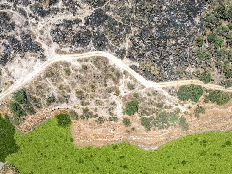 Rincón Dorado Presa Allende — 5 photos