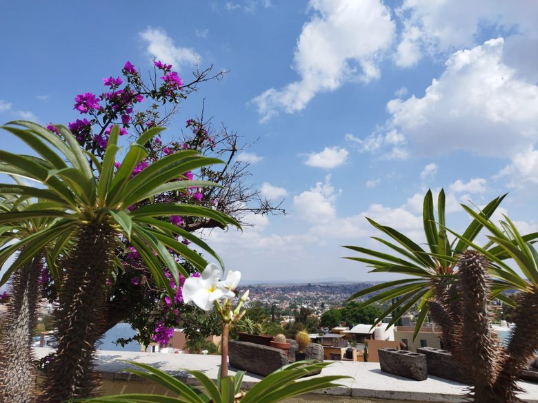 AVAILABLE LUXURY CONDO CARACOL — 23 photos