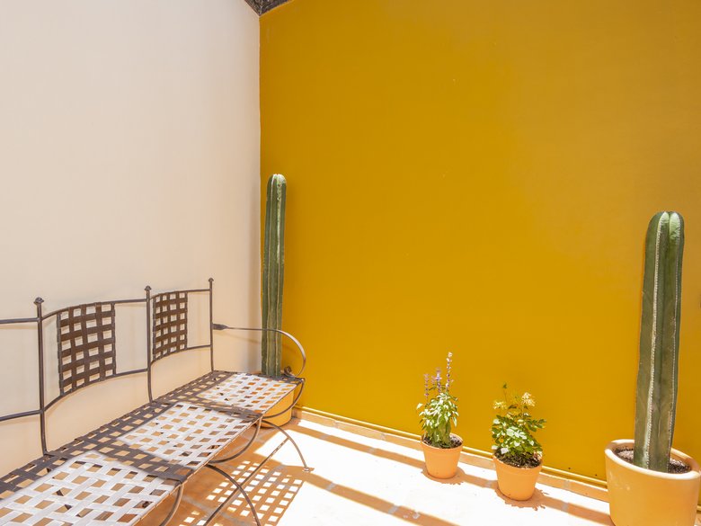 Beautiful Casa Margarita for Rent in San Antonio (Available July 2027) — 19 photos