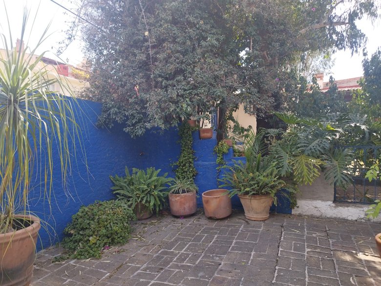 NOT AVAILABLE - NO DISPONIBLE / CASA JOYA — 29 photos