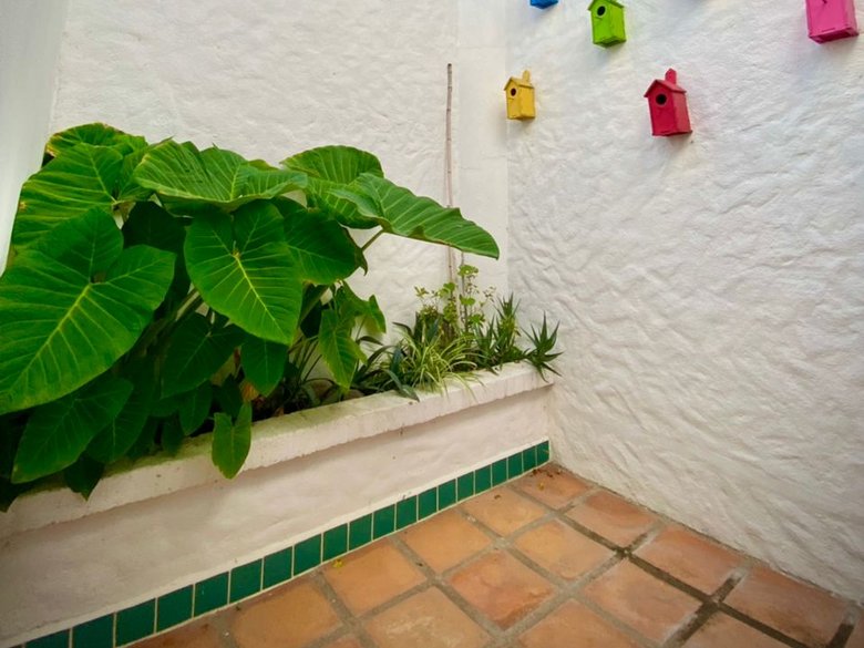 Casa Tesoro Available September 2026 — 10 photos