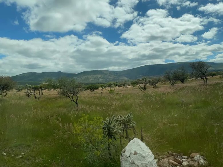 Rancho viejo — 4 photos