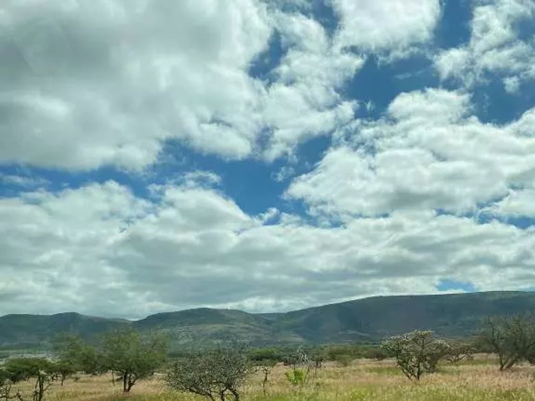 Rancho viejo — 6 photos