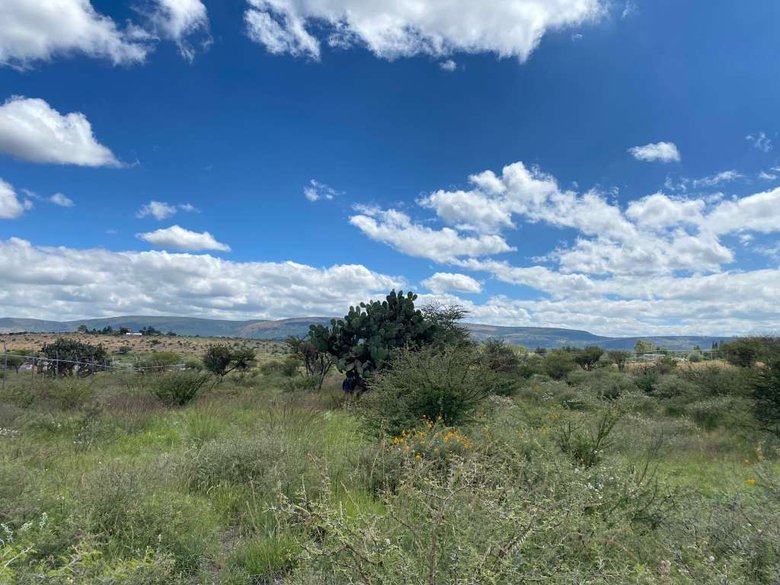 Taboada Lot — 4 photos