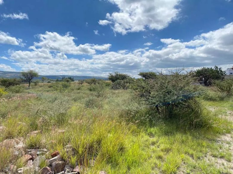 Taboada Lot — 11 photos