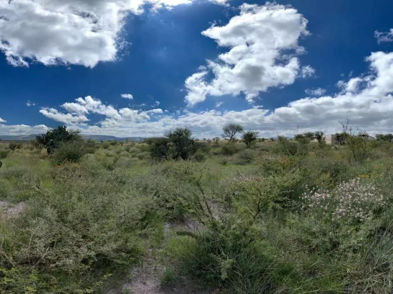 Taboada Lot — 15 photos