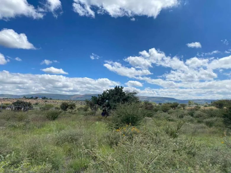 Taboada Lot — 14 photos