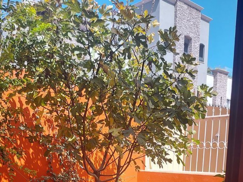 Casa Paseo de la Amistad 17 — 18 photos