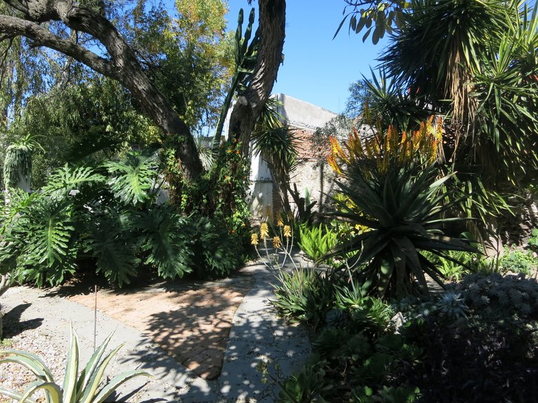 The Tree House — 3 photos