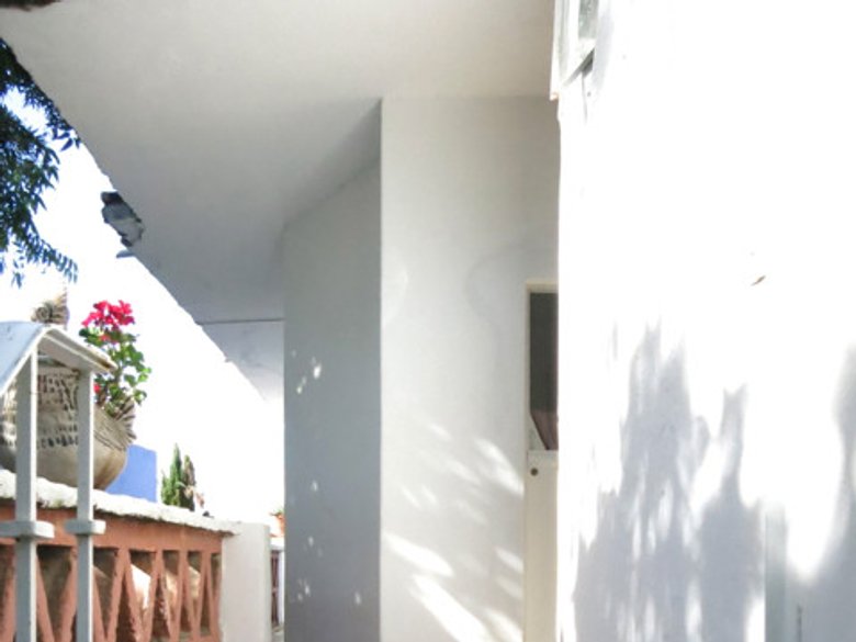 The Tree House — 5 photos