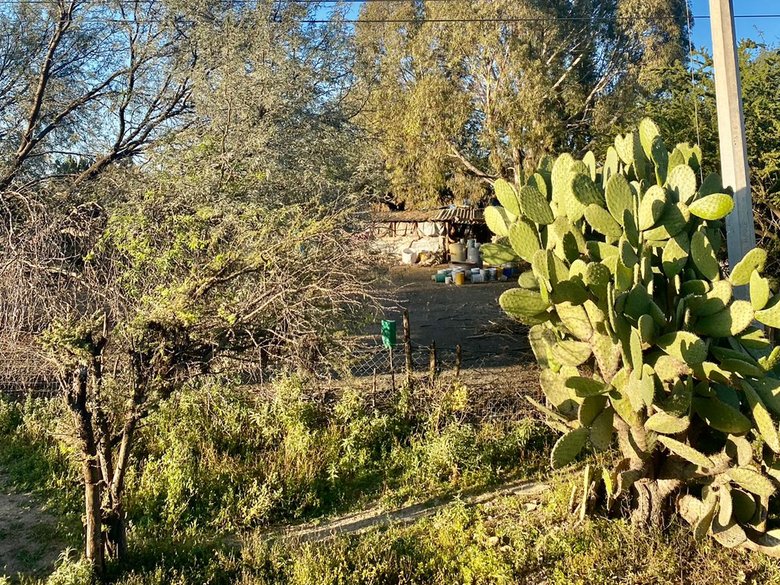 Lot for Sale road to Queretaro in Cerritos. — 5 photos