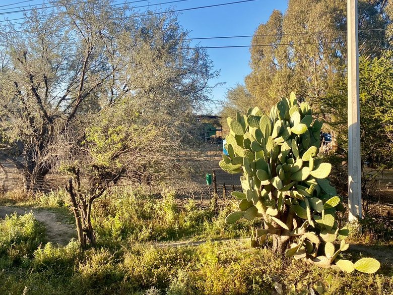 Lot for Sale road to Queretaro in Cerritos. — 2 photos