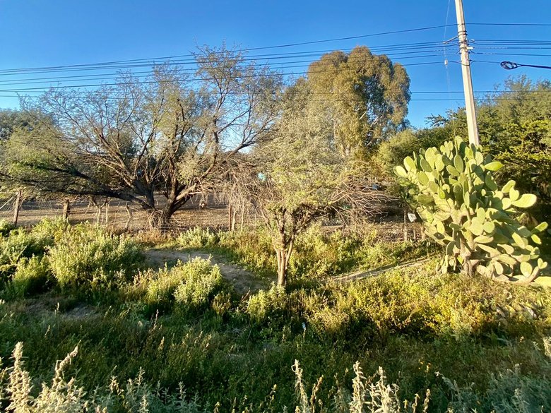 Lot for Sale road to Queretaro in Cerritos. — 6 photos