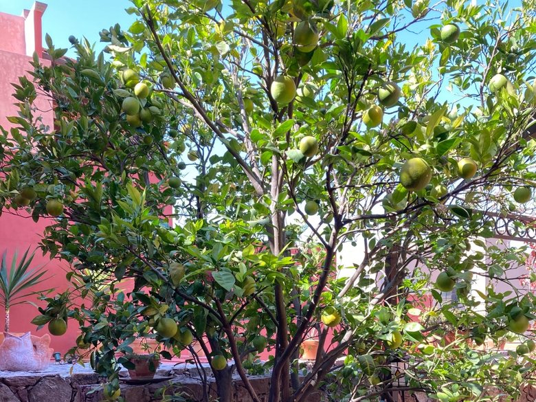 Casa Rana — 6 photos