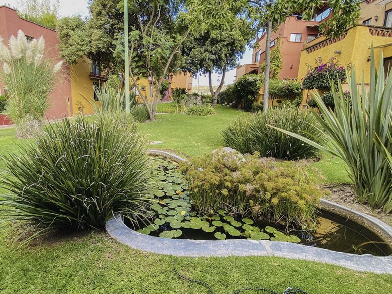 Casa Illusion 21,000 pesos a month — 19 photos