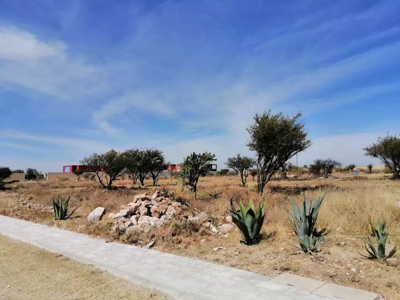Terreno Camino Real — 12 photos