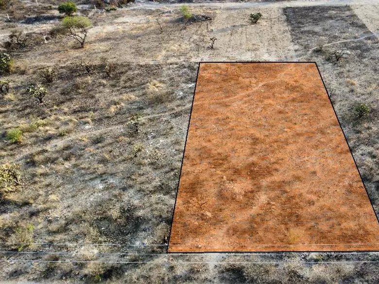 Lot for Sale in Temazacallis — 16 photos