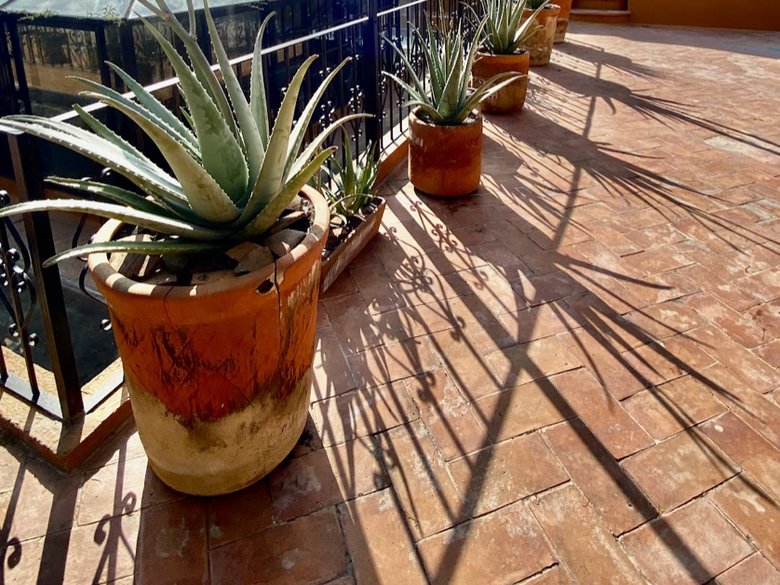 Casa Libertad for rent (Available May 2027) — 26 photos