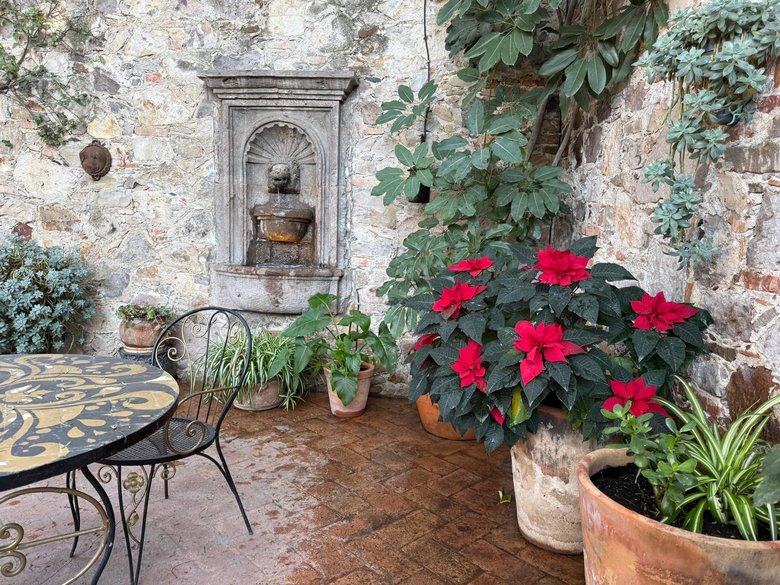 Casa Libertad for rent (Available May 2027) — 36 photos