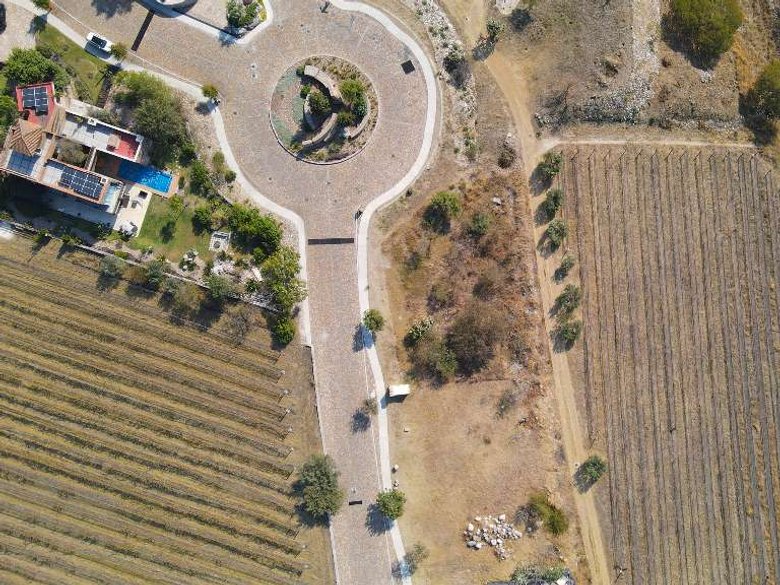 LOT CABERNET — 13 photos
