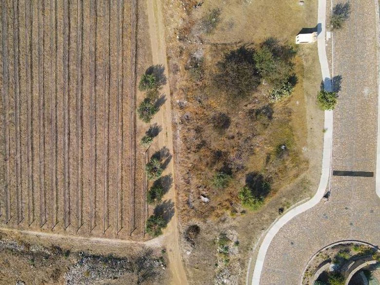 LOT CABERNET — 6 photos