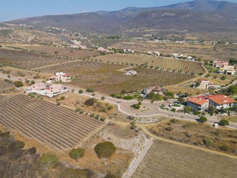 LOT CABERNET — 7 photos
