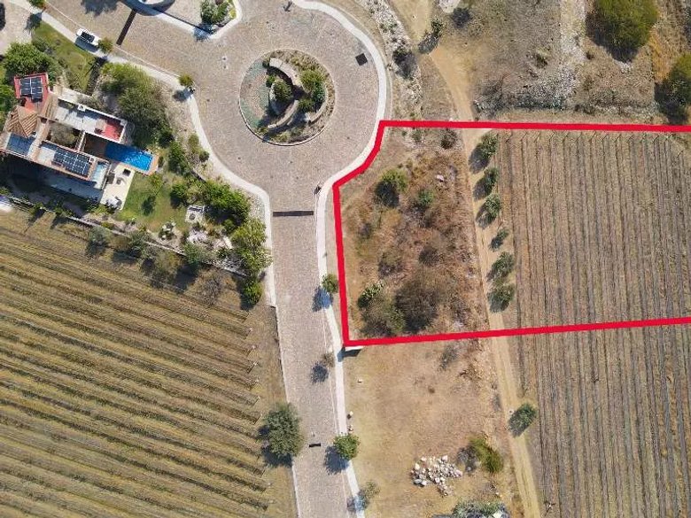 LOT CABERNET — 18 photos