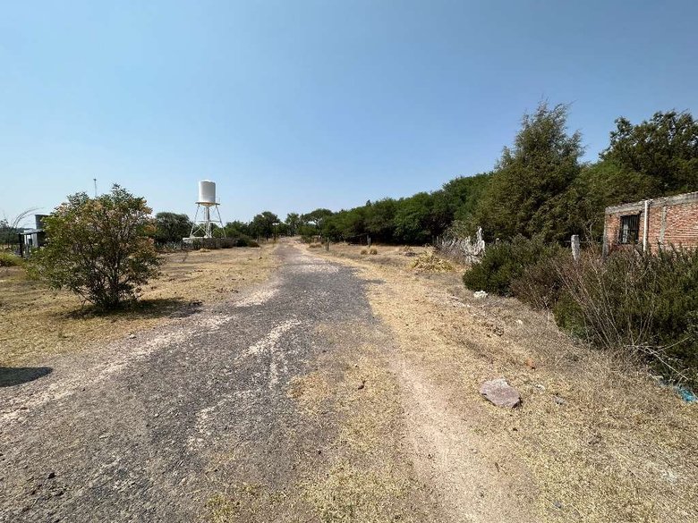 Terreno De Aves — 11 photos