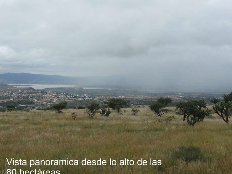 Terreno La Esquina (Inversionistas) — 15 photos