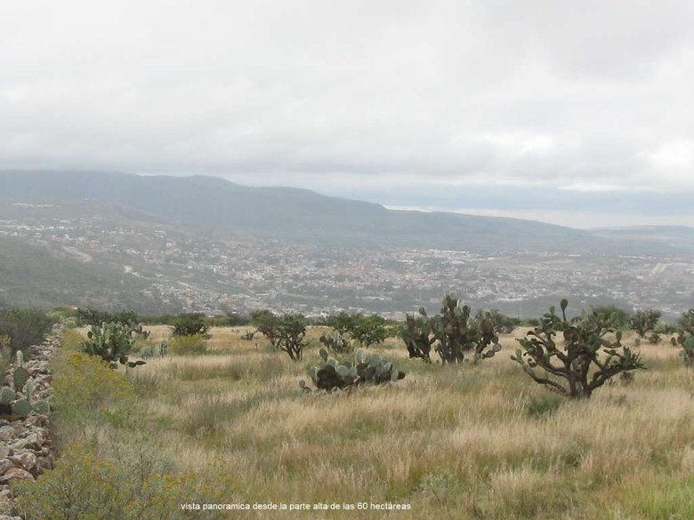 Terreno La Esquina (Inversionistas) — 7 photos