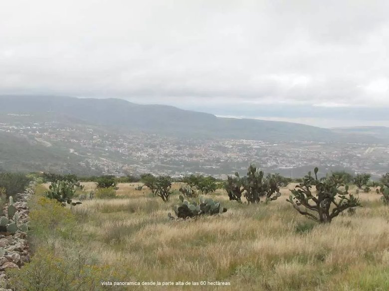 Terreno La Esquina (Inversionistas) — 27 photos