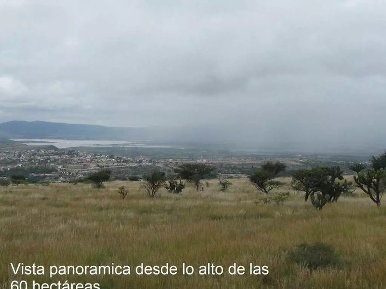 Terreno La Esquina (Inversionistas) — 20 photos