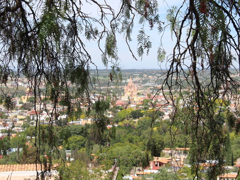 Casa del Águila — 55 photos