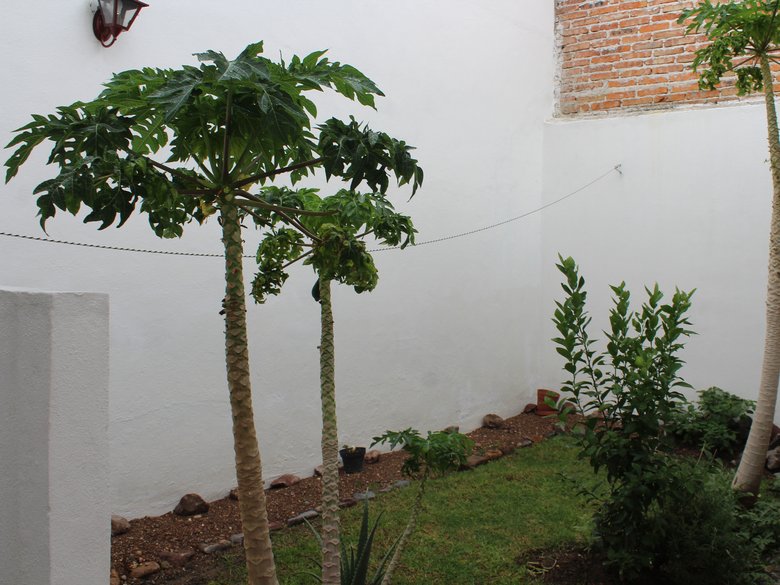 CASA INDEPENDENCIA — 14 photos