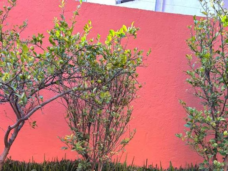 Tesoro House — 8 photos