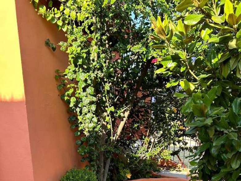 Tesoro House — 7 photos